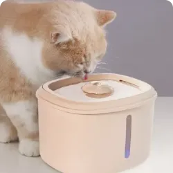 Feeding & Watering