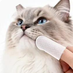 Grooming & Care