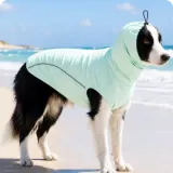 Apparel & Accessories