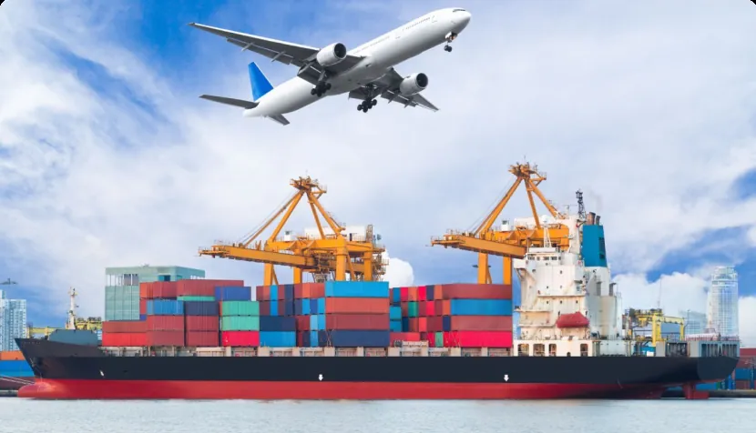 Air and sea freight for global wholesale delivery