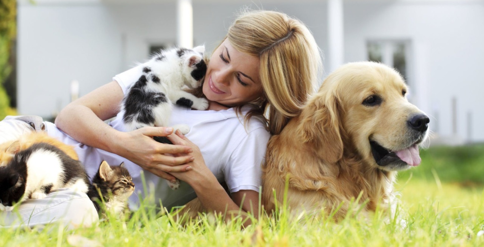 Built for Pet Businesses. Inspired by Pets