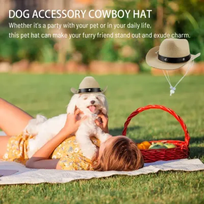 Cat Dog Cowboy Costume Cat Dog Cowboy Costume