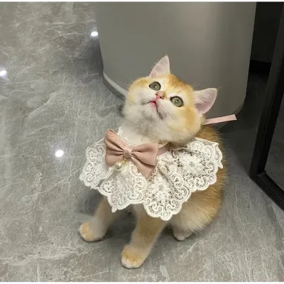 Cute Decorative Cat Bandana
