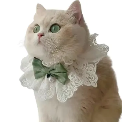 cat bandana