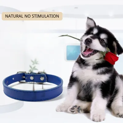 Color Dog Collars