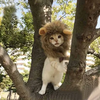 Soft lion costume hat for cats and dogs