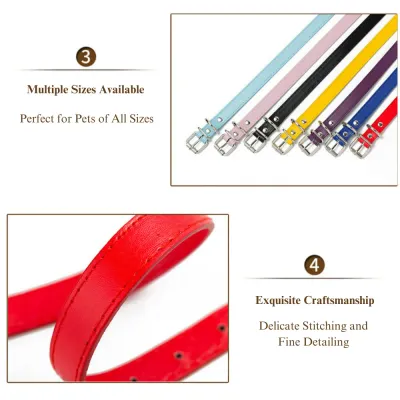 Solid Color Dog Collars