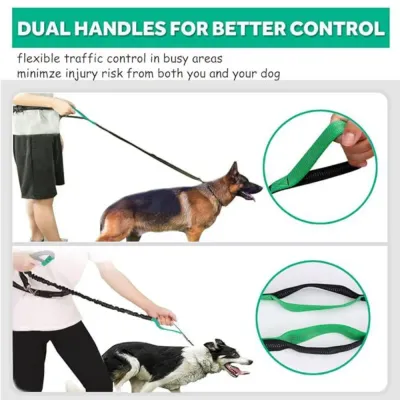 Outdoor Sports Reflective Dog Leash with Bag