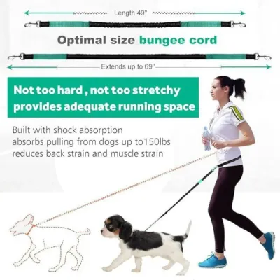 Outdoor Sports Reflective Dog Leash with Bag