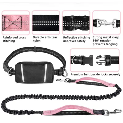 Outdoor Sports Reflective Dog Leash with Bag