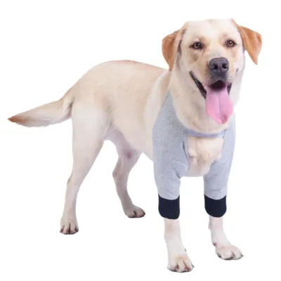 dog recovery suit dog recovery suit