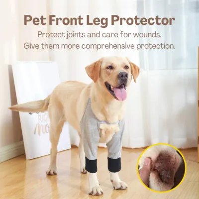 dog recovery suit for leg surgery dog recovery suit for leg surgery