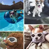 Stylish dog sunglasses for outdoor adventures.