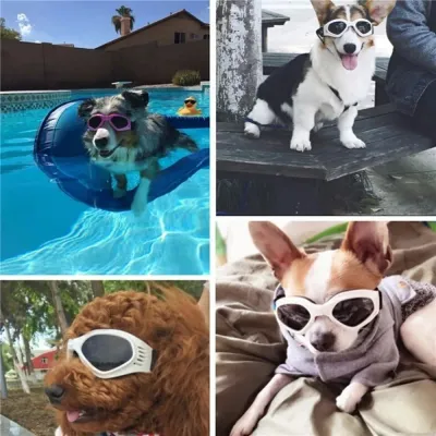 dog sunglasses (1) Stylish dog sunglasses for outdoor adventures.