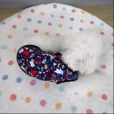 Small breed dog apparel Small breed dog apparel for dogs
