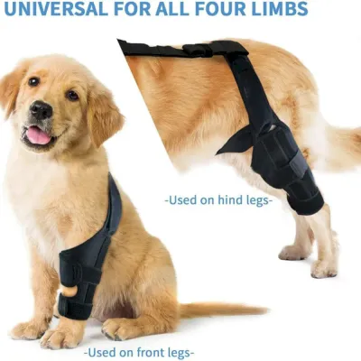 Recovery dog knee brace Recovery dog knee brace