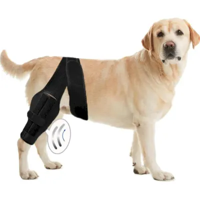 dog knee brace dog knee brace