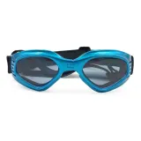 Fashionable eyewear for pets.