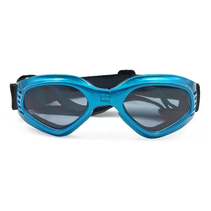 Fashionable eyewear for pets.