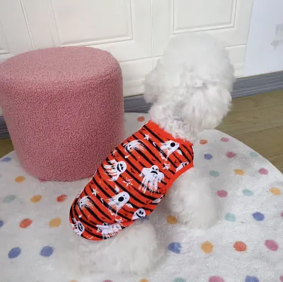 Teddy dog Halloween clothes Teddy dog Halloween clothes festival