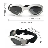 Fashionable pet sunglasses for Teddy and Poodle.