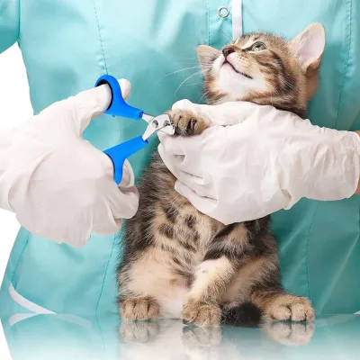 Nail clippers for cats using
