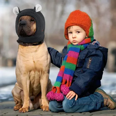 Dog Hat