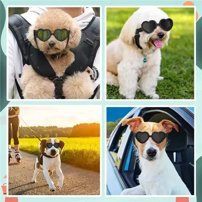 dog goggles (4) Creative heart-shaped sunglasses for pets.
