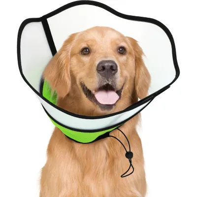 Great New Dog Cone Collar Great New Dog Cone Collar