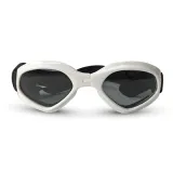 Pet sunglasses for photo shoots and outings.