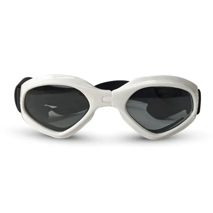 Pet sunglasses for photo shoots and outings.