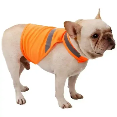 Reflective Dog Vest For Sale