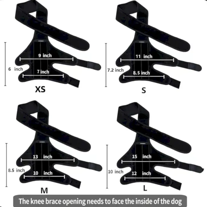 adjustable dog knee brace