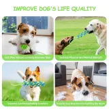 dog bungee toys