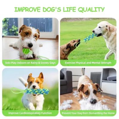 dog tug of war toy dog bungee toys