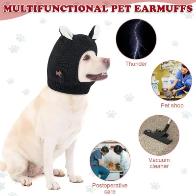 Hot Pet Hat