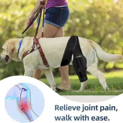 dog knee brace for acl injury dog knee brace for acl injury
