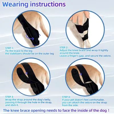 Leg Recovery dog knee brace Leg Recovery dog knee brace