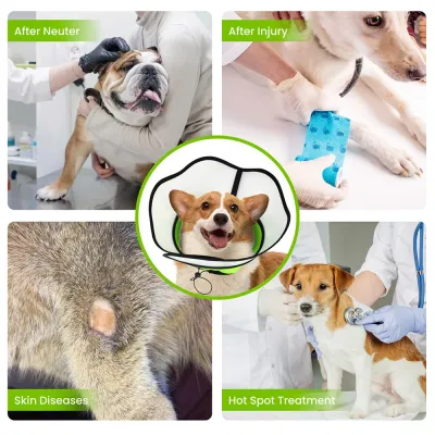Dog Cone Collar Dog Cone Collar