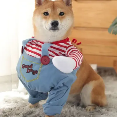 Cute Dog Party Costume Cute Dog Party Costume