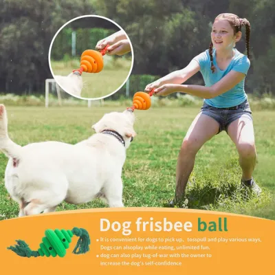 dog chew toy wholesale