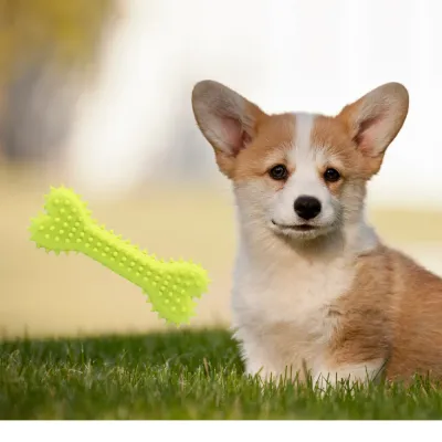 Wholesale dog bone chew toy Wholesale dog bone chew toys