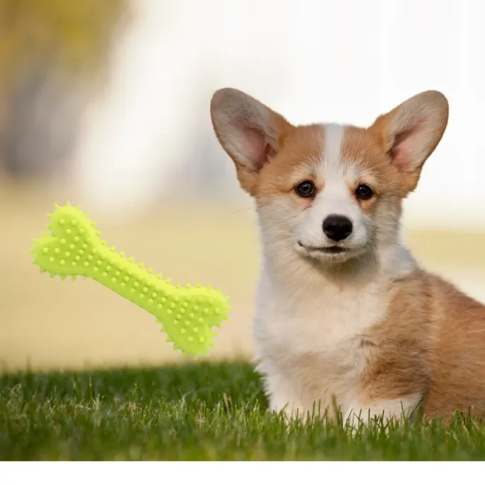 Wholesale dog bone chew toys