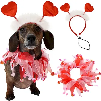 Wholesale pet holiday accessories