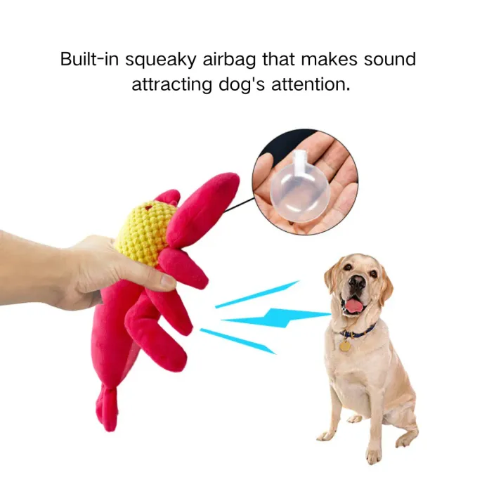 Safe plush dog toy for playing and chewing