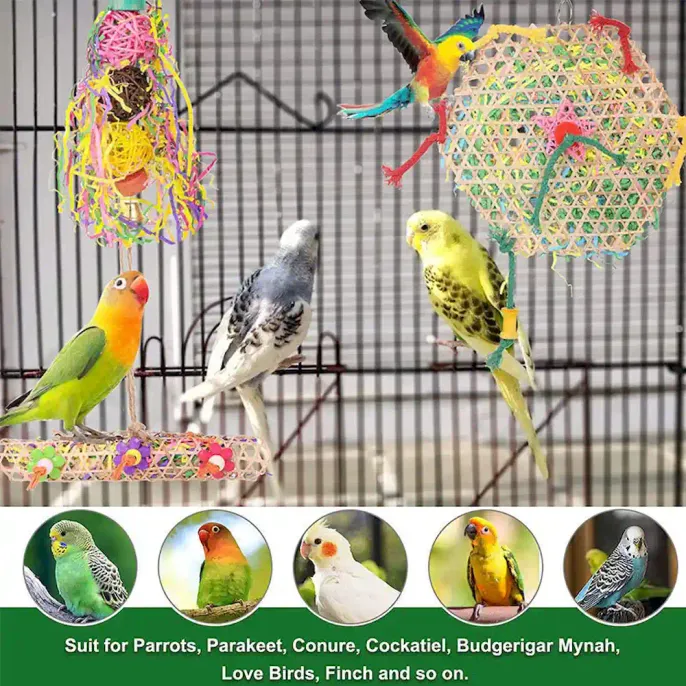 Bird Parrot Toy Manufacturer Bird Parrot Toy Manufacturer