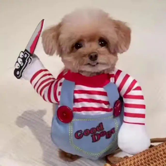 Dog Party Costume Suppliers Dog Party Costume Suppliers
