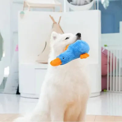 Dog Duck Dog Toy Dog Duck Dog Toy
