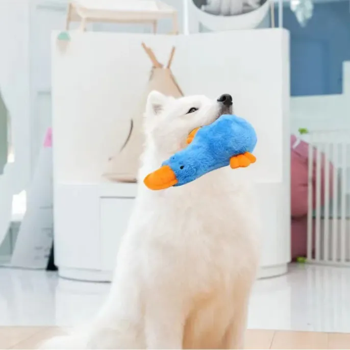 Dog Duck Dog Toy Dog Duck Dog Toy