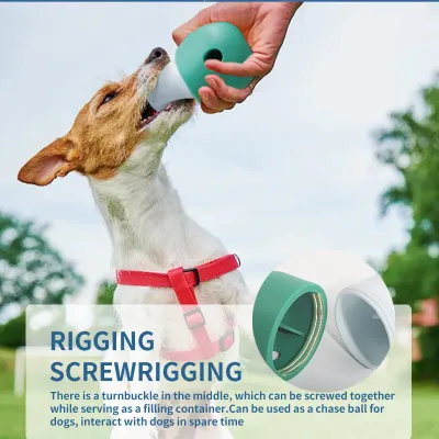 dog puzzle toys